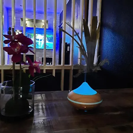 Orion * クレルモン・フェラン